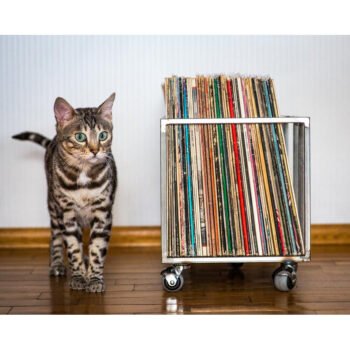 Metal Organizer Plaklık Dergi Kitap Düzenleyici - Görsel 6
